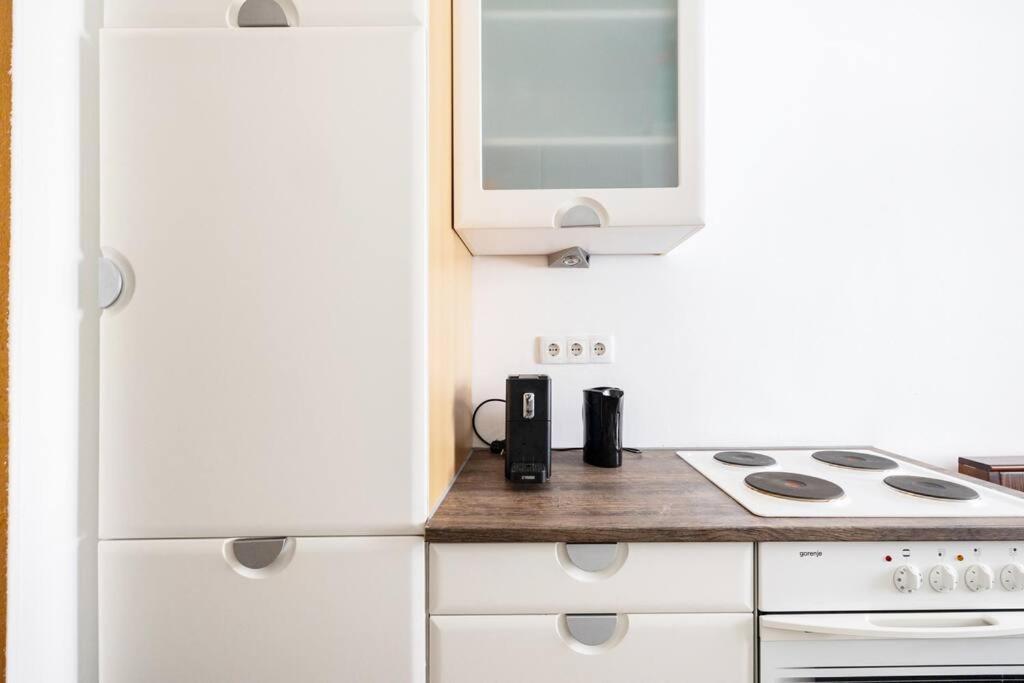 Charming Spacious Apartment เวียนนา ภายนอก รูปภาพ